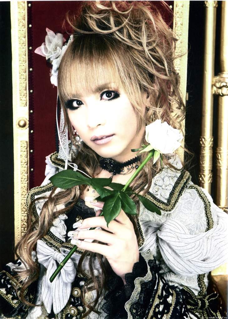 Hizaki | Wiki | J-Rock Amino Amino