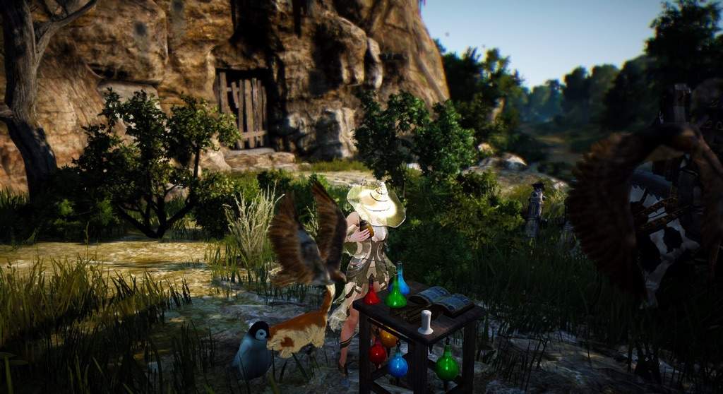 Some new BDO pictures | MMO Amino