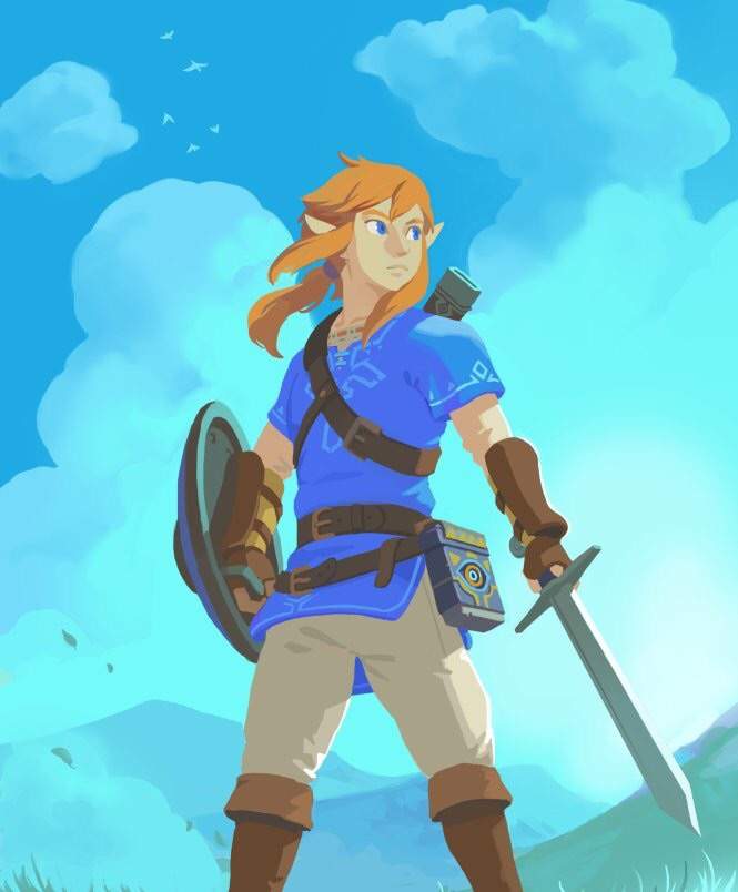 Link's name cannot be changed - BOTW Update | Zelda Amino