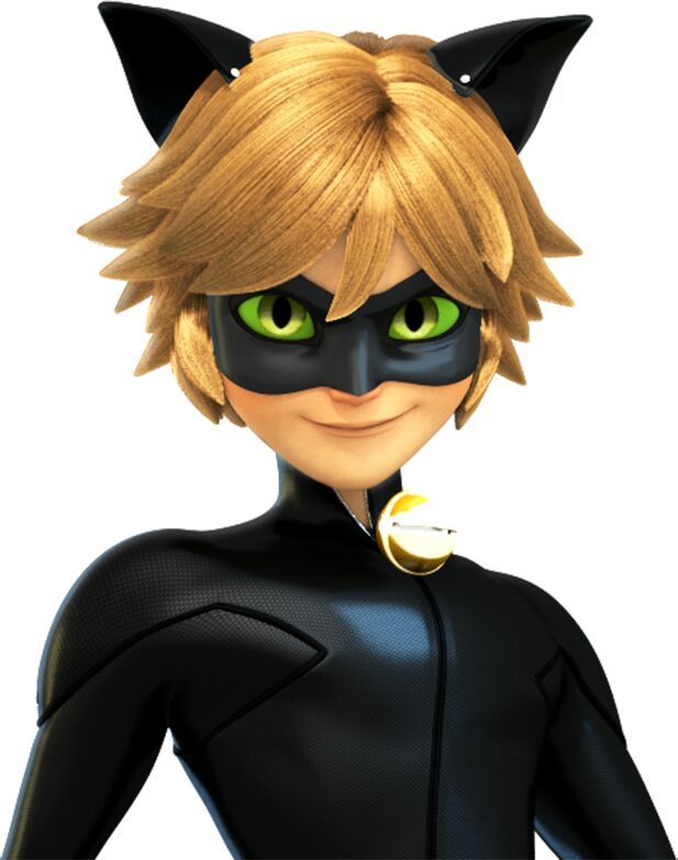 The Superheroes From Ladybug And Cat Noir
