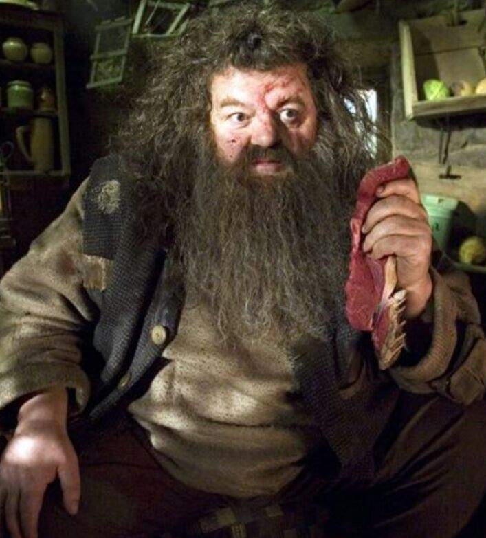 Rubeus Hagrid Wiki Harry Potter Amino