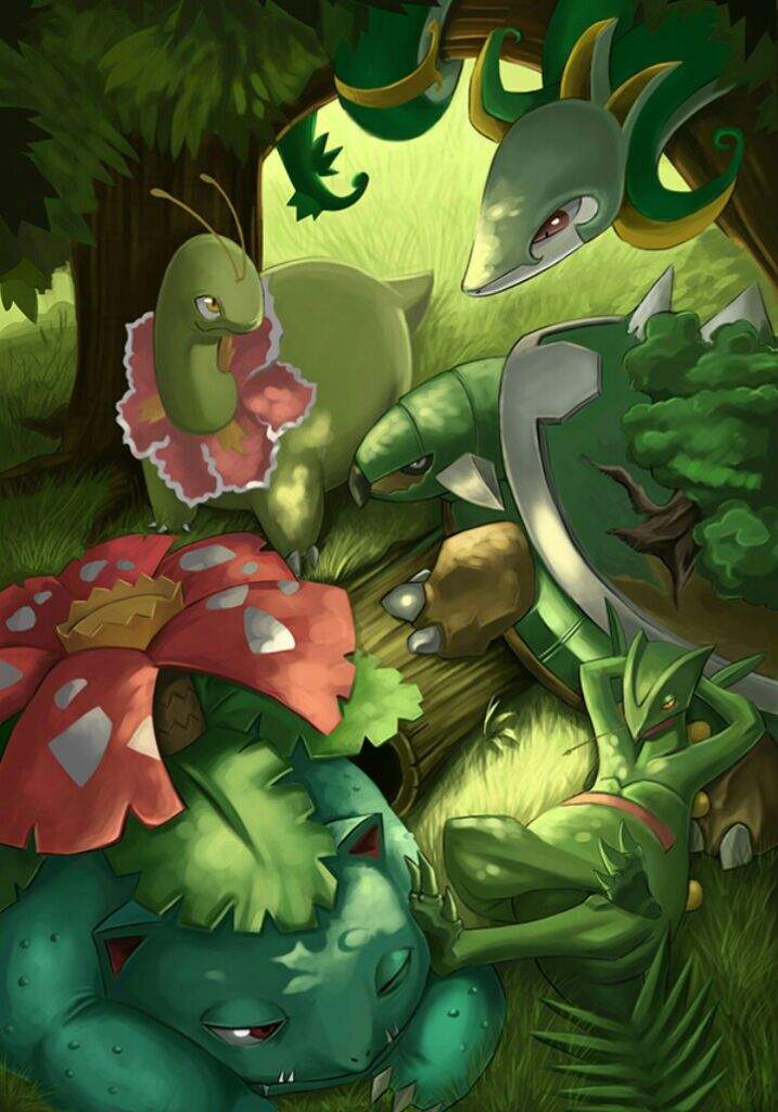 Top 5 Grass Starters Pokémon Amino