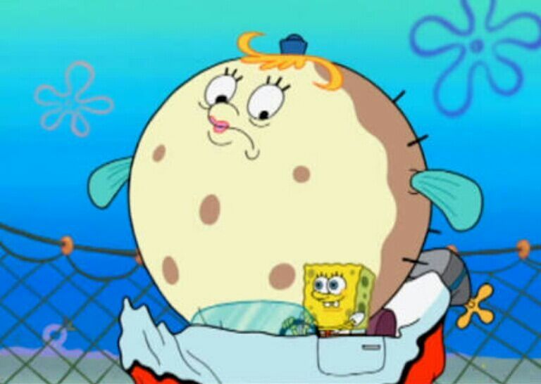 Senhora Puff Bob Esponja Amino Em Português Amino Senhora Puff Bob Esponja Amino Em Português Amino