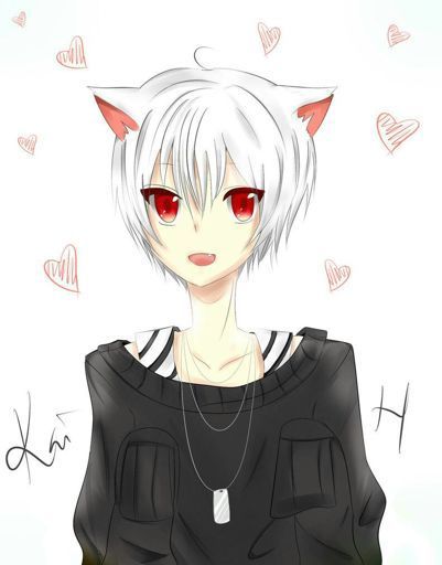 Chicos Neko | •Anime• Amino