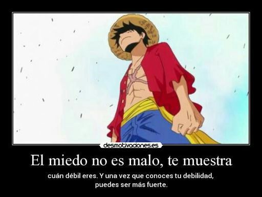 Resultado de imagen de frases de one piece