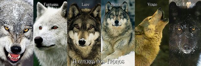 Los Lobos de Game of Thrones · Curiosidades Game of Thrones