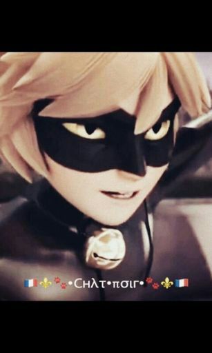 Lady Blog Wiki Prodigiosa Miraculous Ladybug Amino 