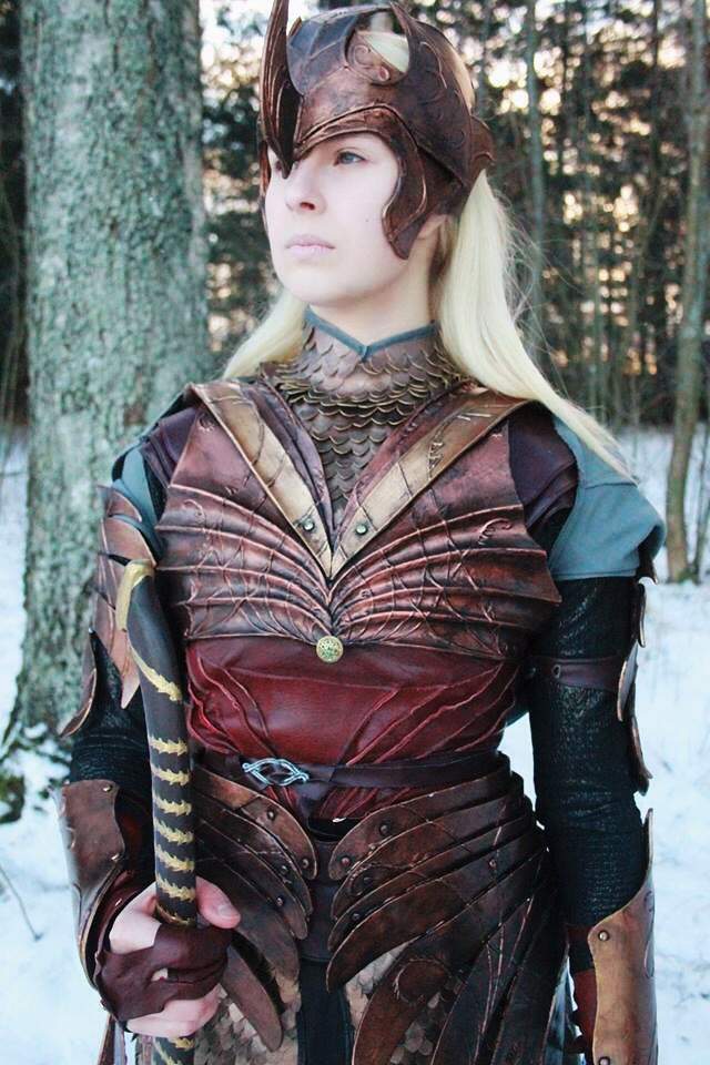 Lothlorien Elf Soldier from Lord of the Ring Cosplay Amino