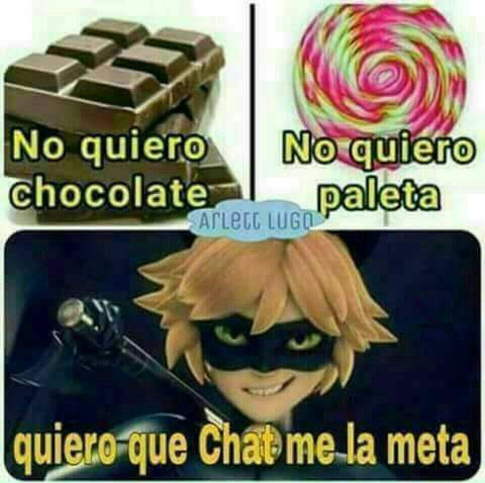Memes de Chat Noir •Miraculous Ladybug Español• Amino