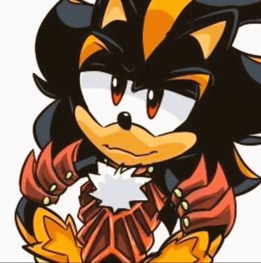 Sanctum The Hedgehog | Wiki | Anime High School ~ Amino