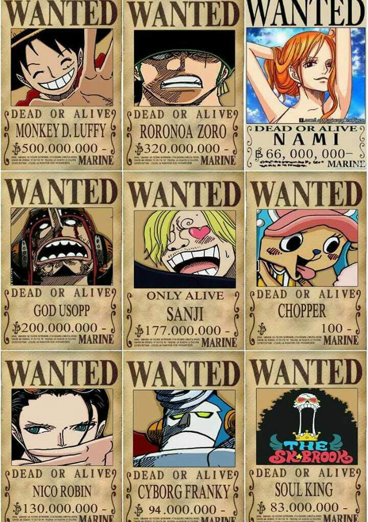 Recompensas dos mugiwaras | One Piece Brasil™ Amino