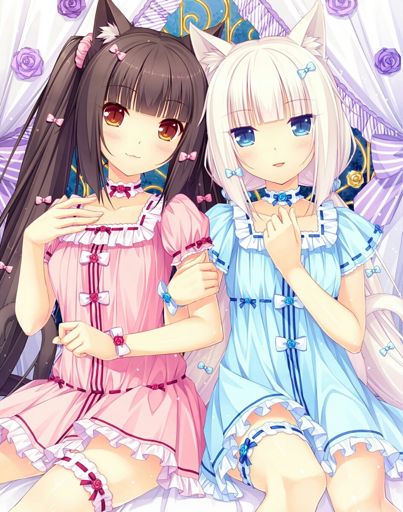 Nekopara | Wiki | Anime Amino