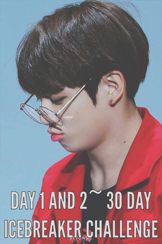 Day 1 And 2 30 Day Icebreaker Challenge Jeon Jungkookie🐰정국 Amino