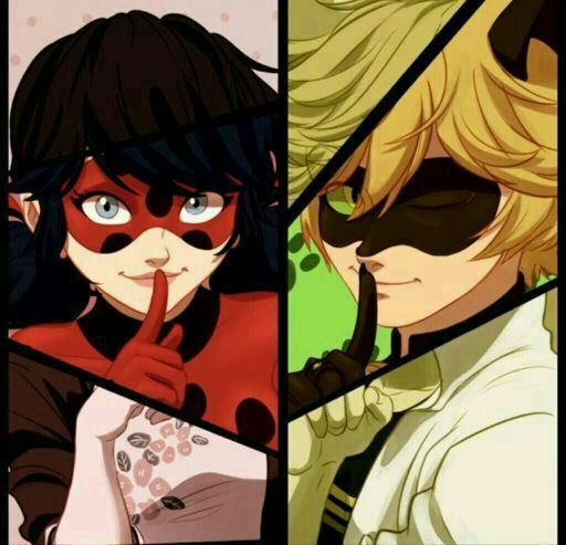 Chat noir | Wiki | Universo Hora De Aventura Amino