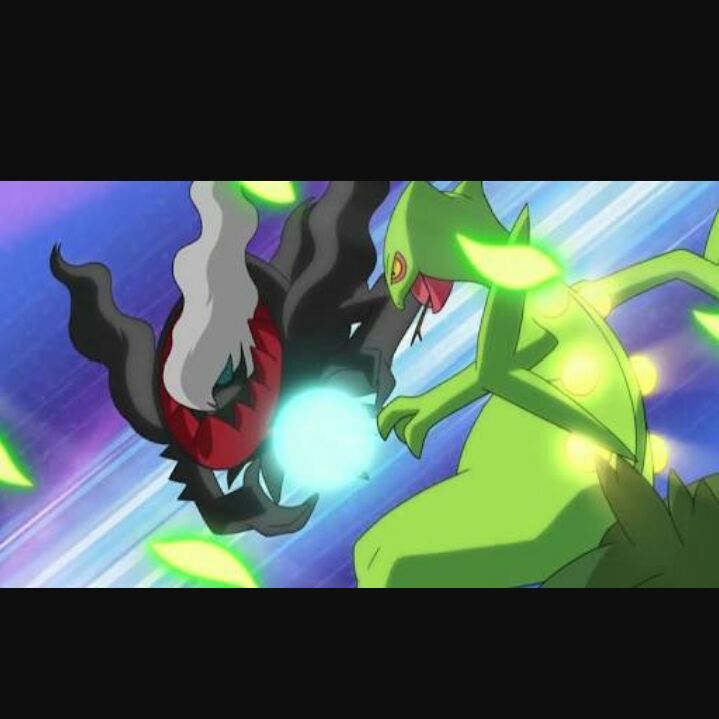 Sceptile Vs Darkrai Pokemon Amino Em Portugues Amino