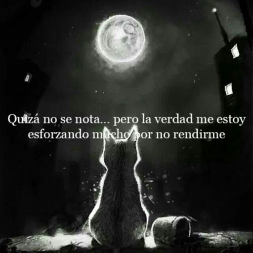 A Frases | Wiki | •Anime• Amino