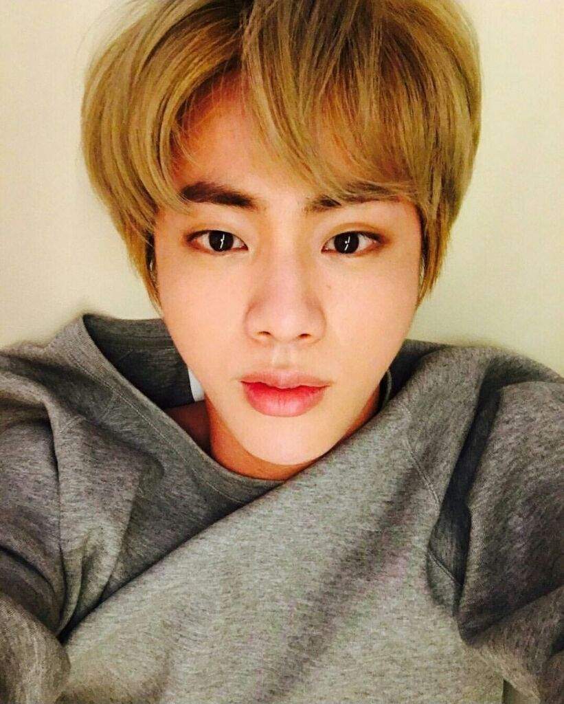 Jin/selca | K-Pop Amino