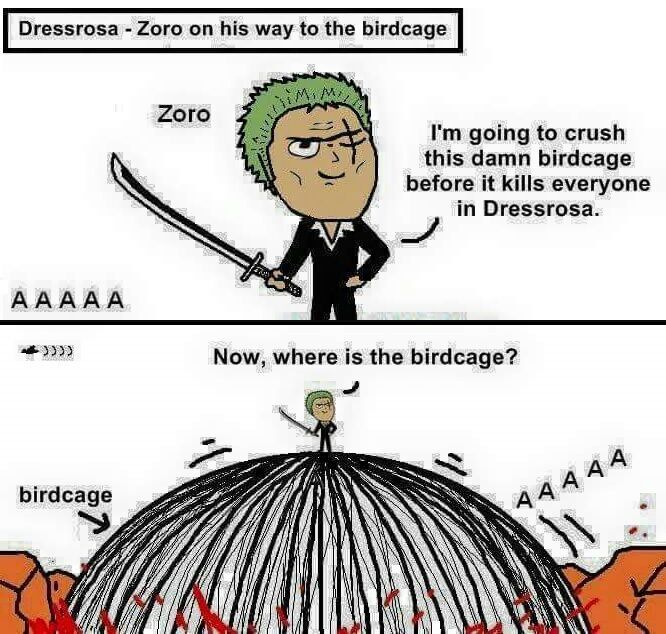 zoro-s-sense-of-direction-namie-s-diary-one-piece-amino