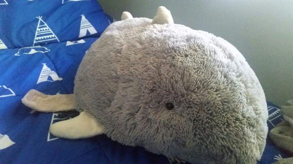 shark pillow pet