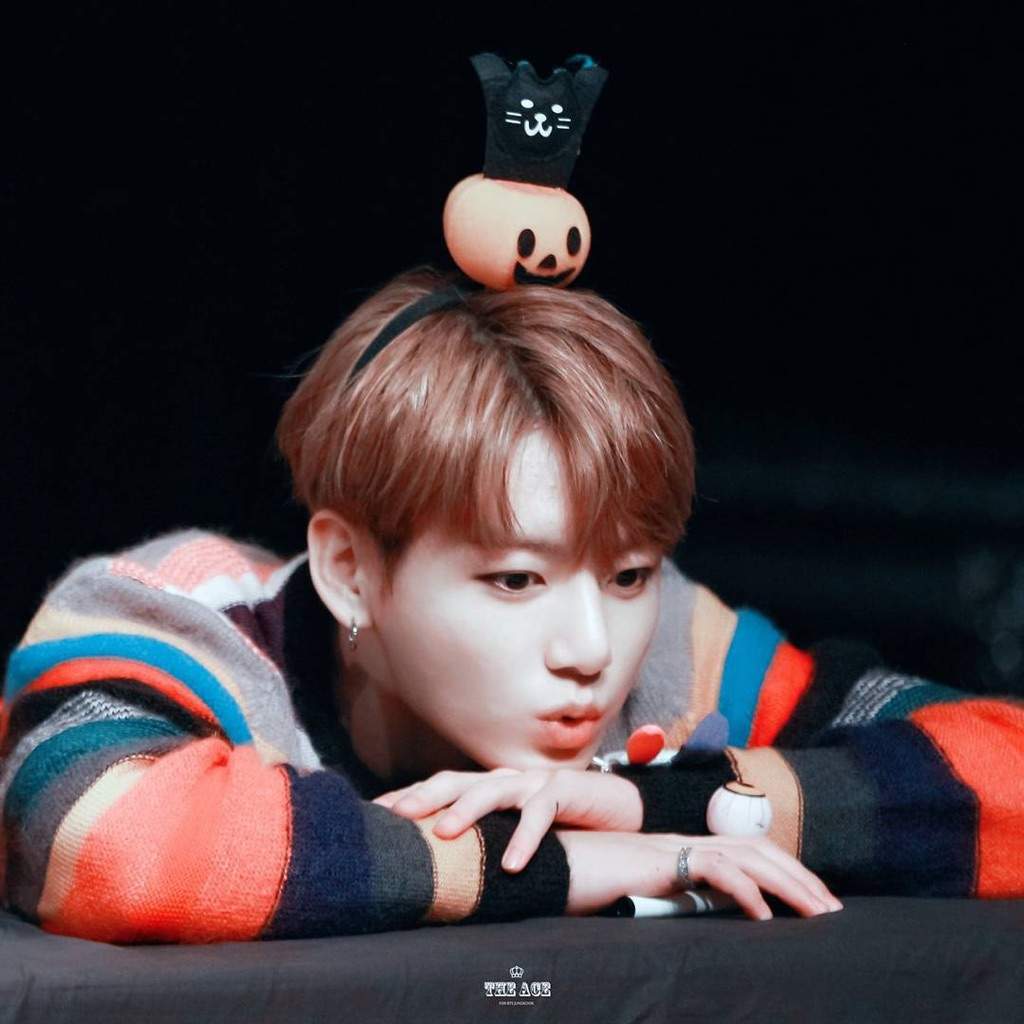 bts plushies jungkook