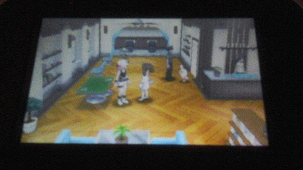 pokemon sun moon salon