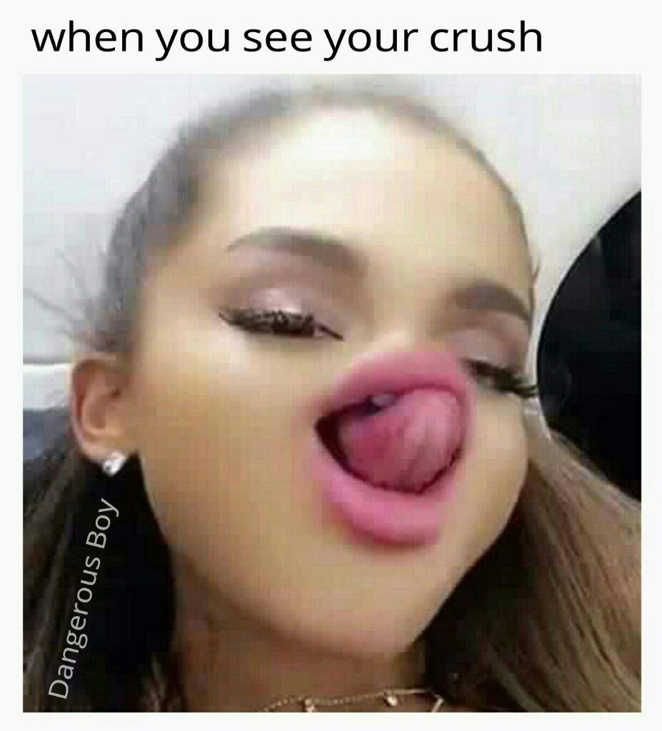 Ariana Memes Part 2 Grande Amino Part 1