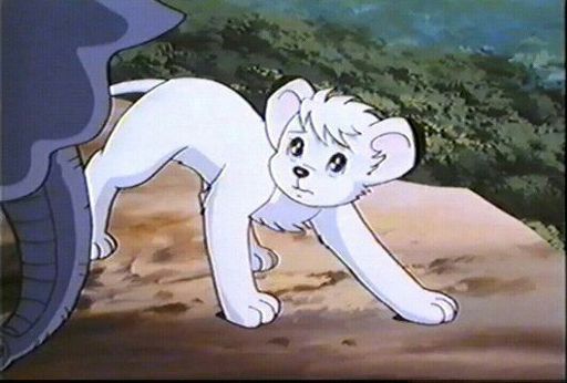 Kimba the white Lion | Wiki | Anime Amino