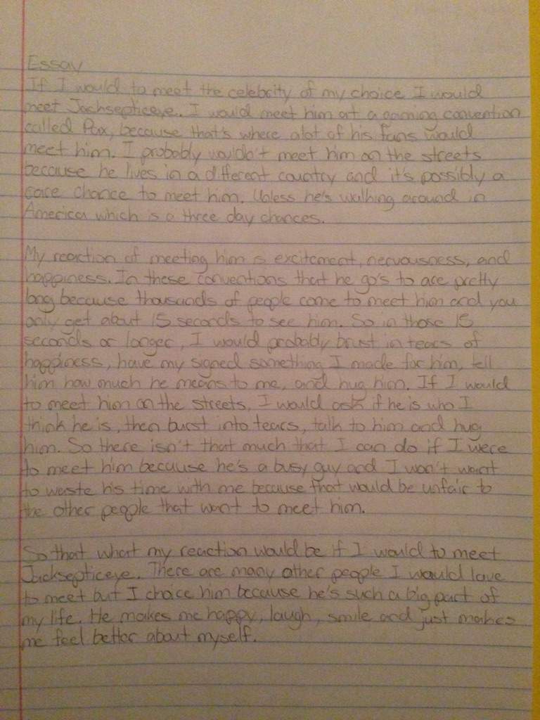 Essay About Celebrity