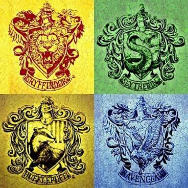 Preconceito das casas de Hogwarts | ⚡.HARRY POTTER.⚡ Amino