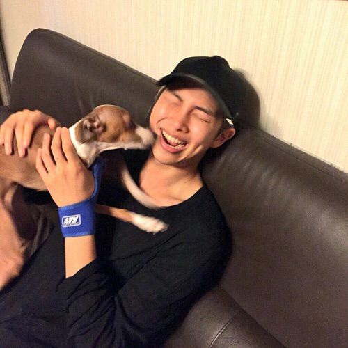 Namjoon + Dogs | ARMY's Amino