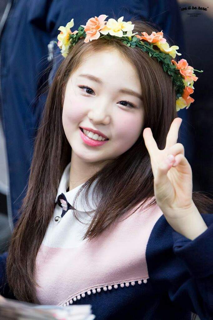 im yeojin wiki loona br amino im yeojin wiki loona br amino
