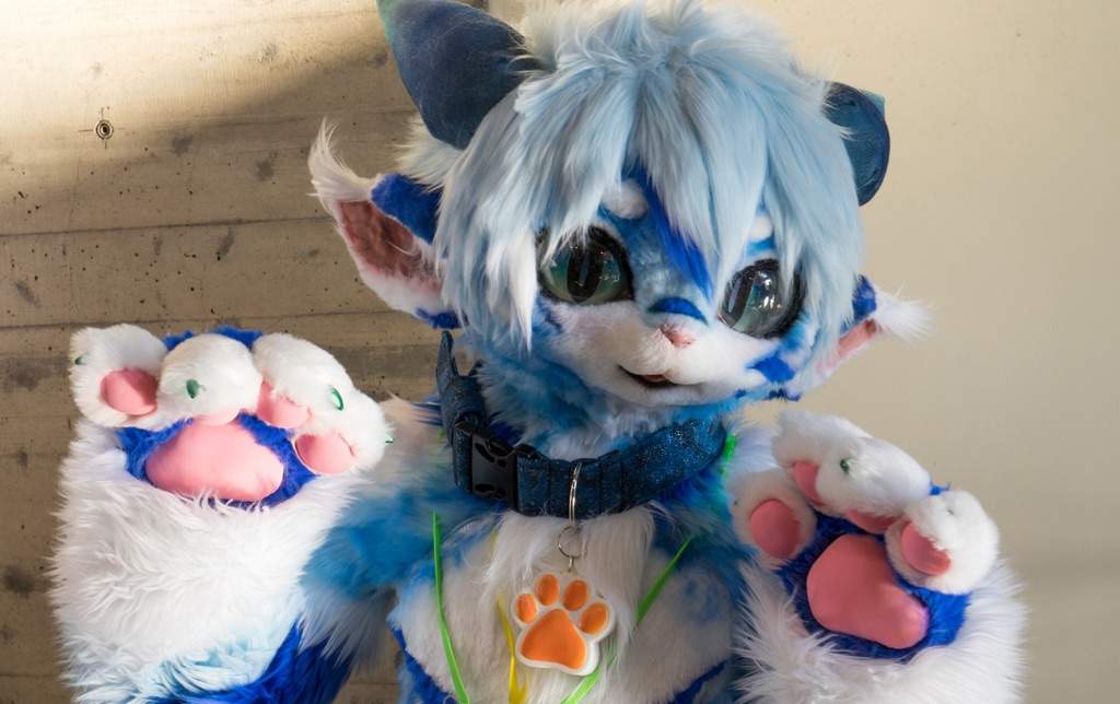 RadyWolf / Rufen | Wiki | Fursuit Maker Amino Amino