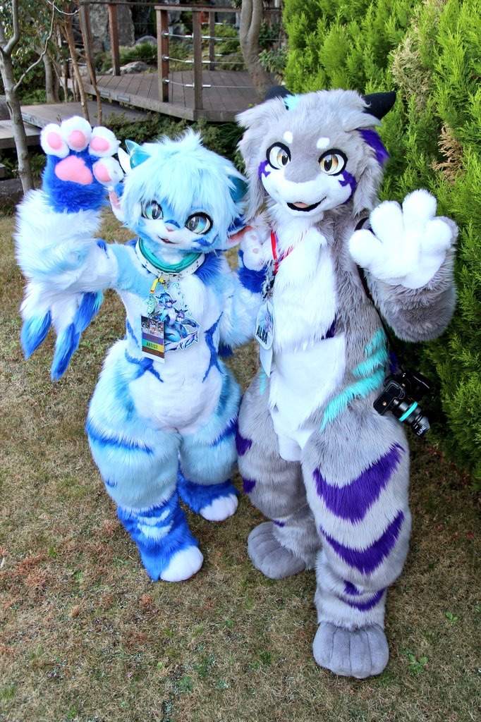 RadyWolf / Rufen | Wiki | Fursuit Maker Amino Amino