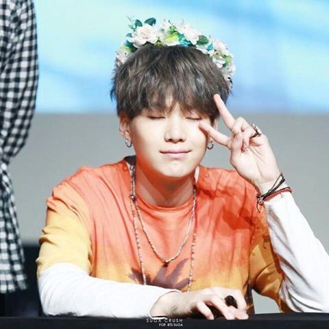 BTS FLOWER CROWN SERIES!!! | ARMY's Amino