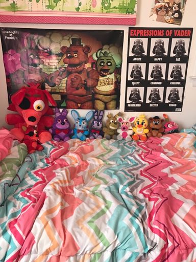 All my fnaf plushies | Five Nights At Freddy's Amino