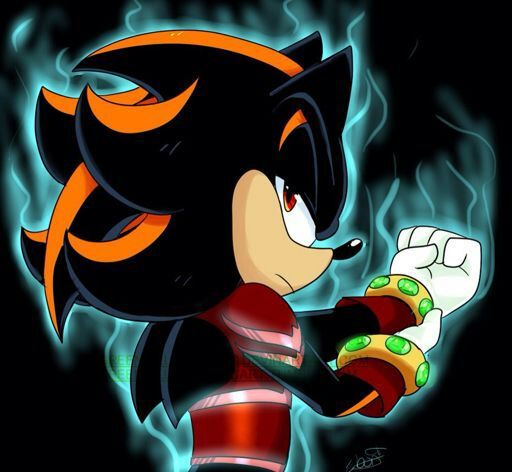 Sanctum The Hedgehog | Wiki | Sonic Everything! Amino