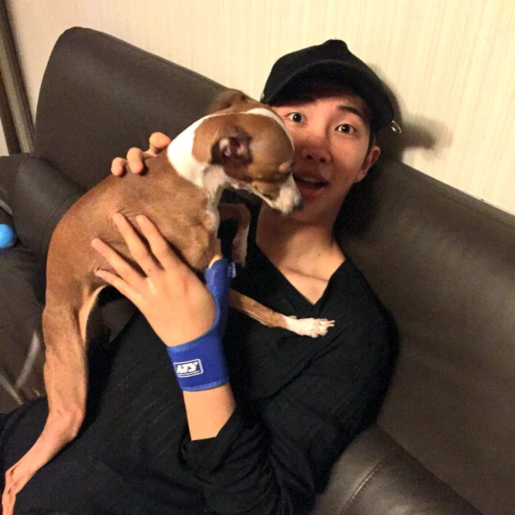 Namjoon + Dogs | ARMY's Amino