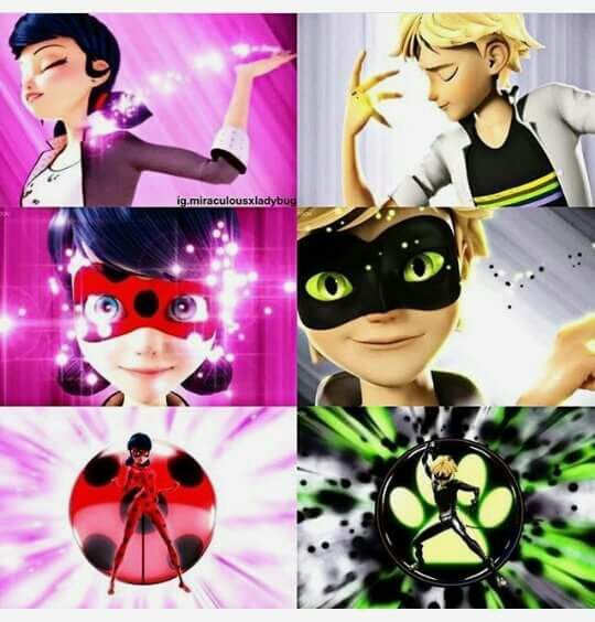 TRANSFORMACION!!! | •Miraculous Ladybug Español• Amino