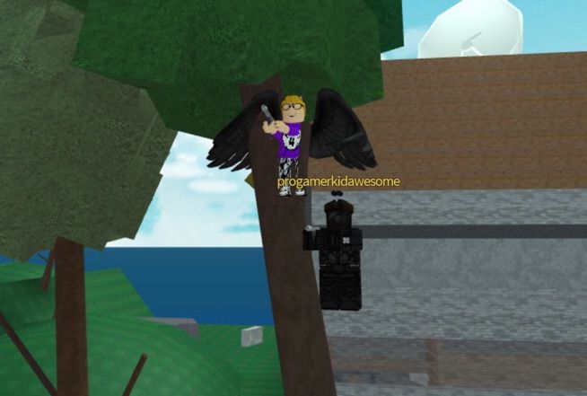 dont fall roblox
