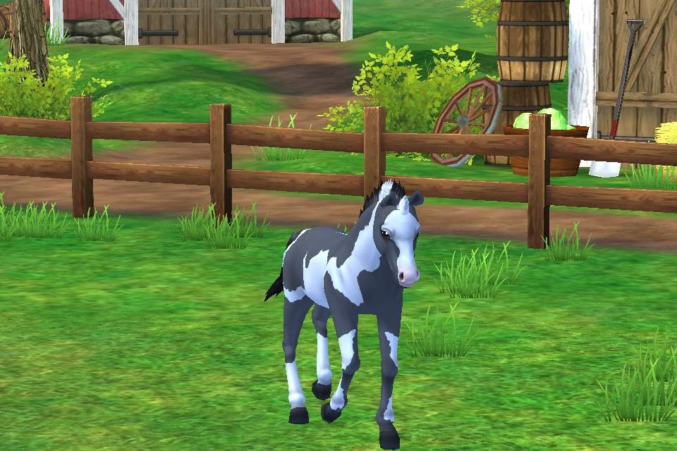 The New Star Stable App!! | Star Stable Online Amino