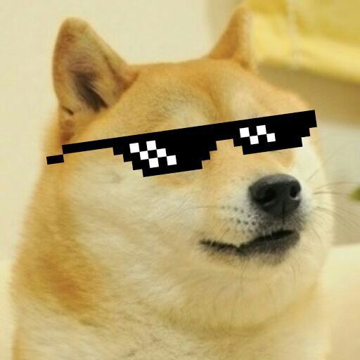 Doge | Wiki | •Meme• Amino