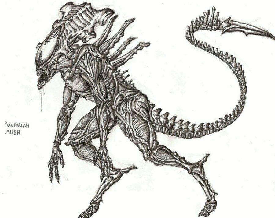 Praetorian | Alien Versus Predator Universe Amino