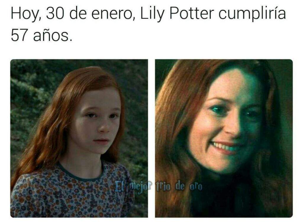 Felicidades Lily Harry Potter Español Amino