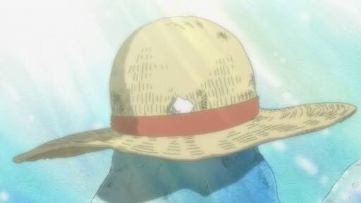 Who Wore The Hat Better One Piece Amino