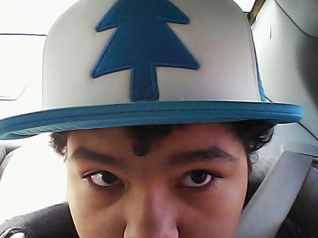 hot topic dipper hat