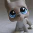 amino-Maddie Lps-04689457