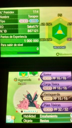 Busco metagross shiny naturaleza alegre | •Pokémon• En Español Amino