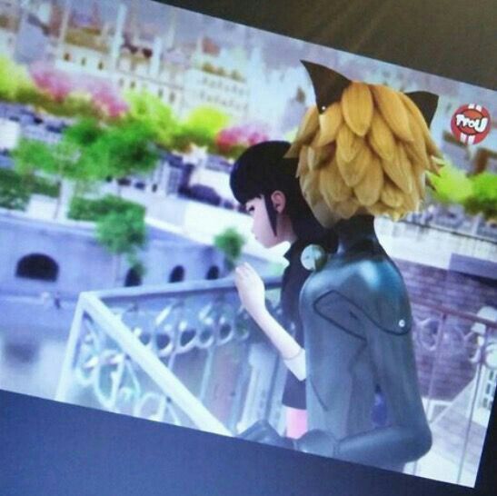 What Could Marinette And Cat Noir Talk About Balcony Miraculous Amino