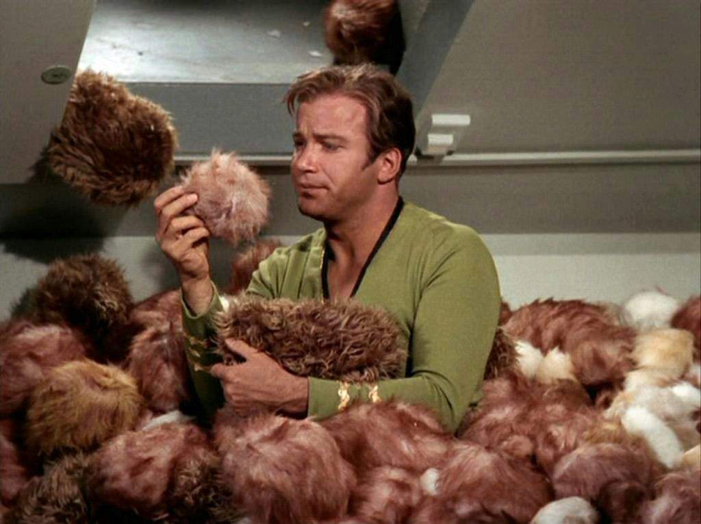 Star Trek Pets 10 best star trek pets