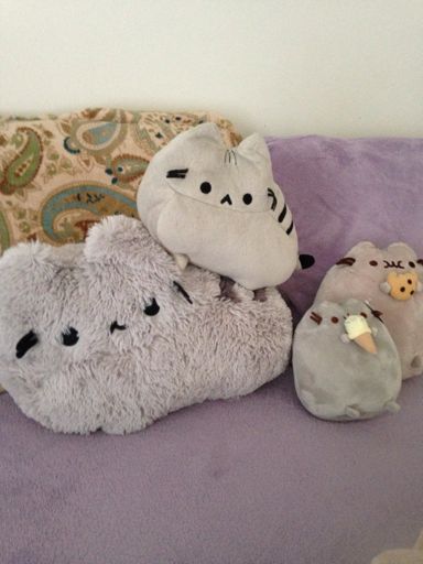 🐱Pusheen Plushie Collection🐱 | Pusheen The Cat Amino Amino